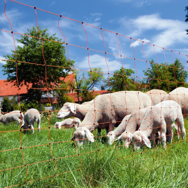 Elektrificeerbaar net Elektrificeerbaar net