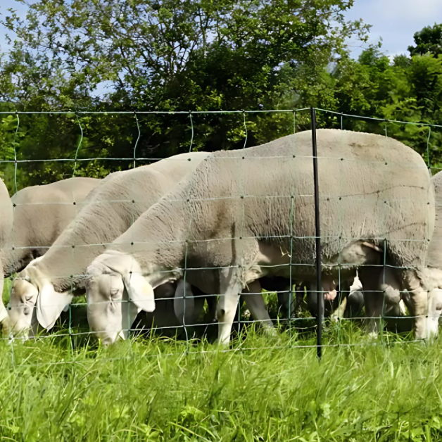 Elektrificeerbaar net Elektrificeerbaar net