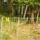 Electric wild boar net Gallagher 50M