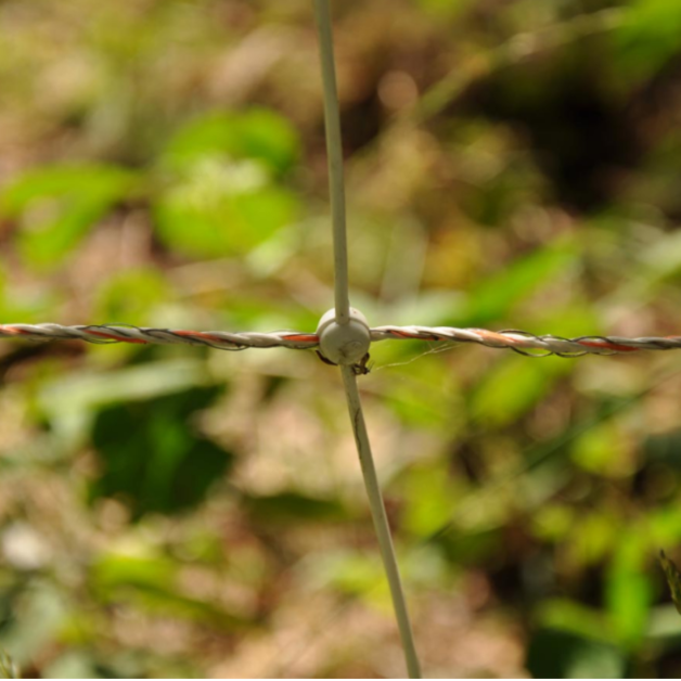 Elektrisch Gallagher wildzwijnnet 50M Elektrisch Gallagher wildzwijnnet 50M