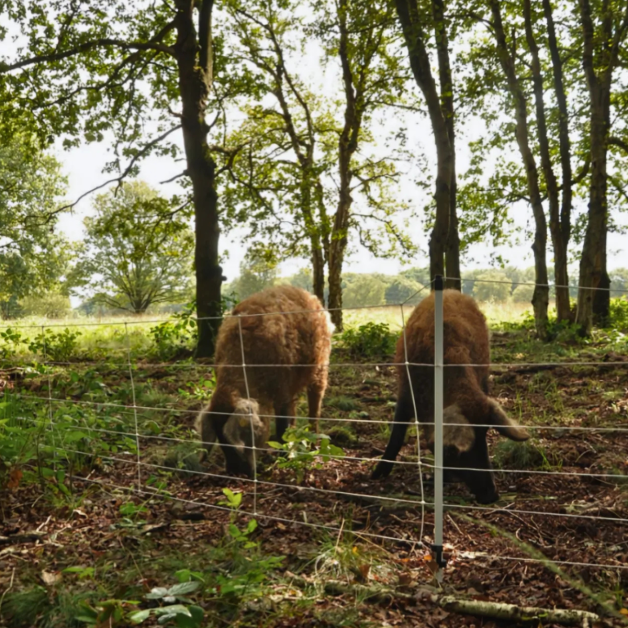 Elektrisch Gallagher wildzwijnnet 50M Elektrisch Gallagher wildzwijnnet 50M