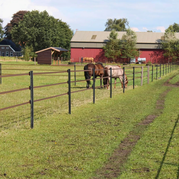 Piquet Eco Gallagher