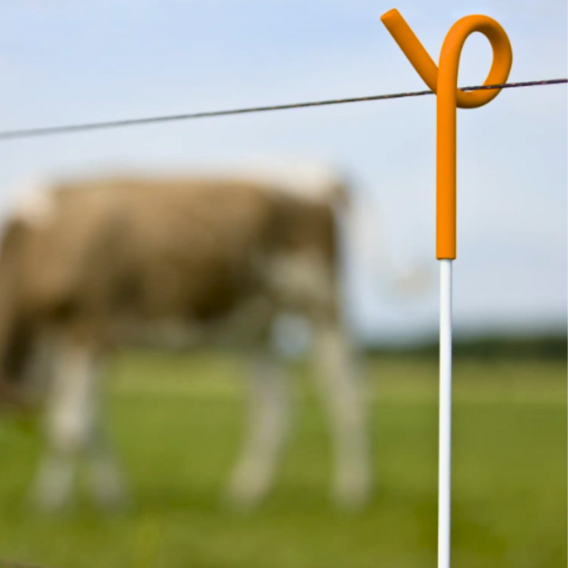 Piquets queue de cochon double pointe Gallagher