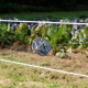 Fence tensioner