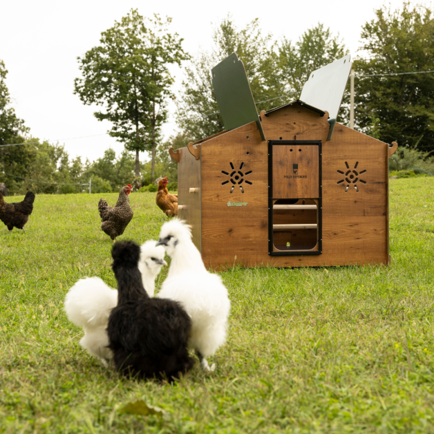 Kippenhok van hoogwaardig HPL, bestand tegen bloedluizen.
