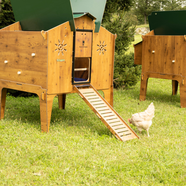 Kippenhok van hoogwaardig HPL, bestand tegen bloedluizen.