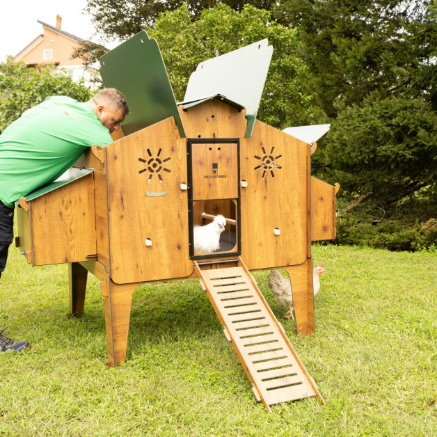 Kippenhok van hoogwaardig HPL, bestand tegen bloedluizen.