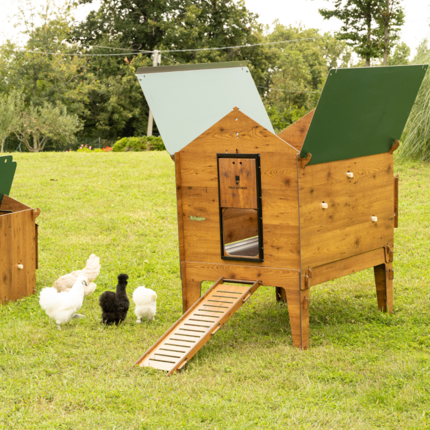 PILOTIS POUR POULAILLER EN HPL AVEC TIROIR PILOTIS POUR POULAILLER EN HPL AVEC TIROIR