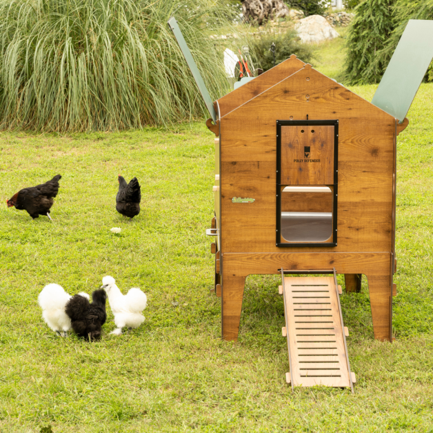 PILOTIS POUR POULAILLER EN HPL AVEC TIROIR PILOTIS POUR POULAILLER EN HPL AVEC TIROIR