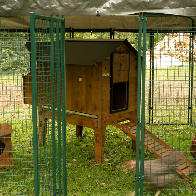 Enclos POLLY RUN 9m² Enclos POLLY RUN 9m²