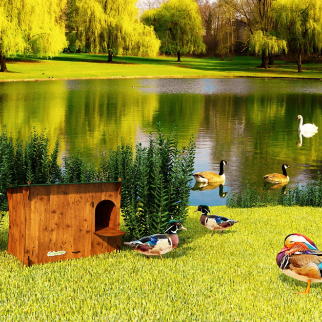 Abris pour canards en HPL Cucciolotta Ducky Abris pour canards en HPL Cucciolotta Ducky