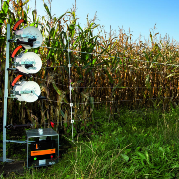 Draad- of bandhaspels