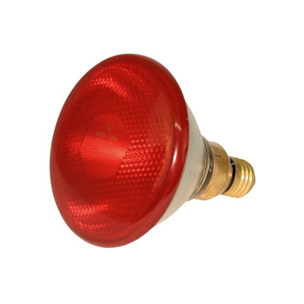 Ampoules chauffantes infrarouges de 100 à 250 Watts Ampoules chauffantes infrarouges de 100 à 250 Watts