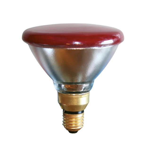 Ampoules chauffantes infrarouges de 100 à 250 Watts Ampoules chauffantes infrarouges de 100 à 250 Watts
