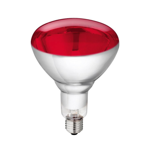 Ampoules chauffantes infrarouges de 100 à 250 Watts Ampoules chauffantes infrarouges de 100 à 250 Watts