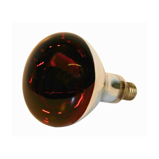 Ampoules chauffantes infrarouges de 100 à 250 Watts Ampoules chauffantes infrarouges de 100 à 250 Watts