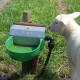 Suevia Water Trough