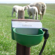 Suevia Water Trough