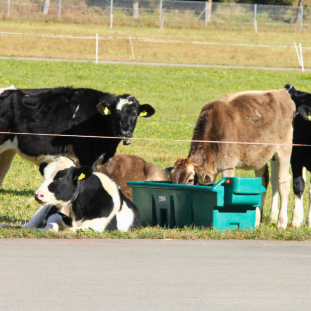 Prairie trough Suevia Prairie trough Suevia