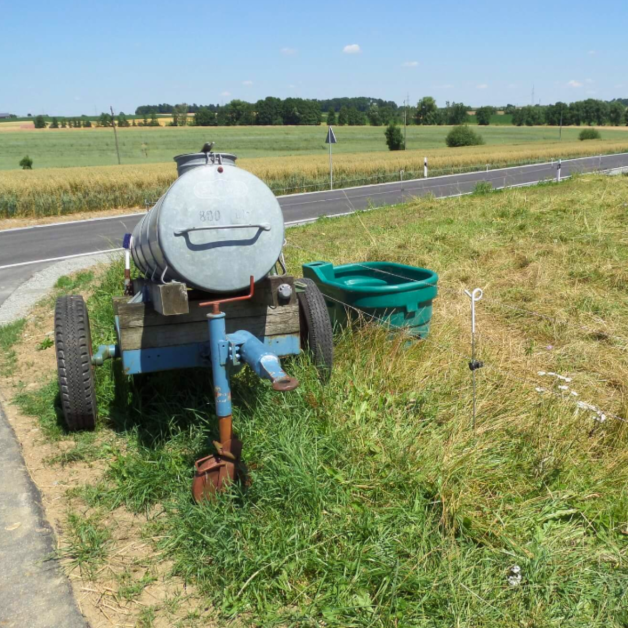 Prairie trough Suevia Prairie trough Suevia