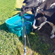 Prairie trough Suevia