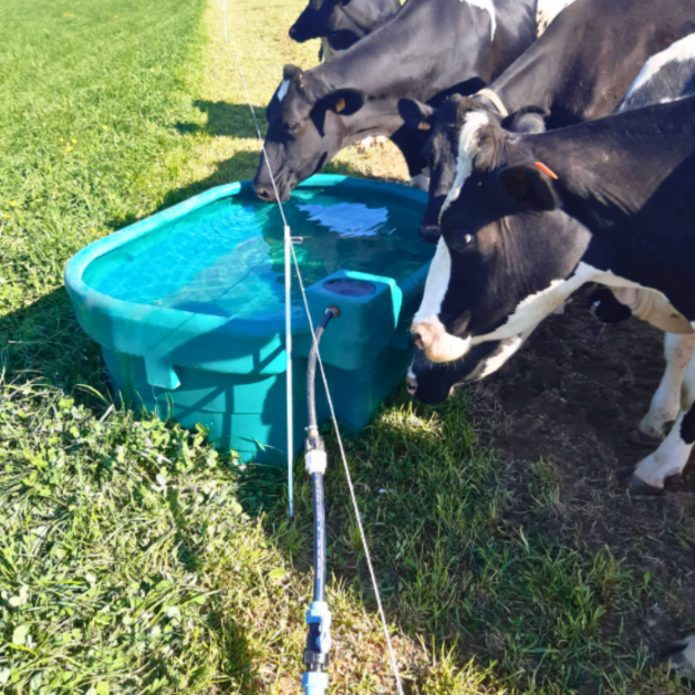 Prairie trough Suevia Prairie trough Suevia