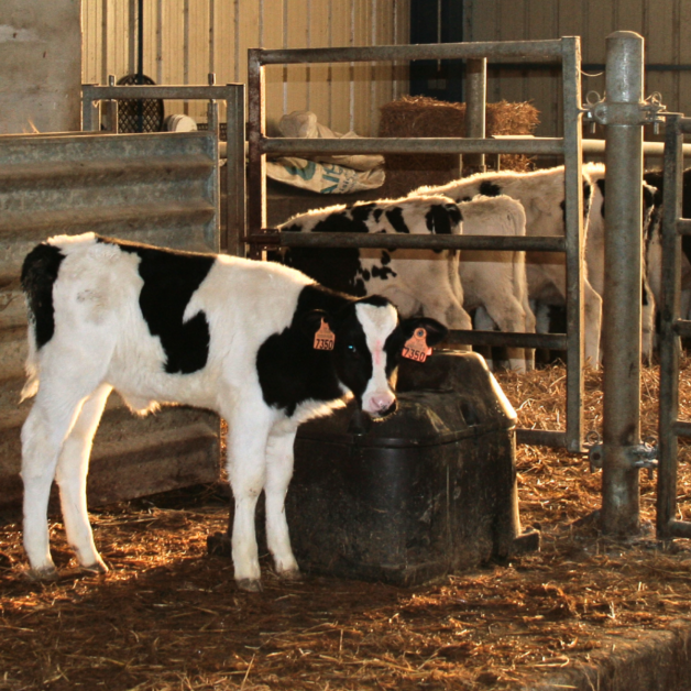 Isothermal Thermolac Water Trough Isothermal Thermolac Water Trough