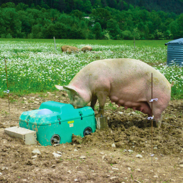 Isothermal Thermolac Water Trough Isothermal Thermolac Water Trough