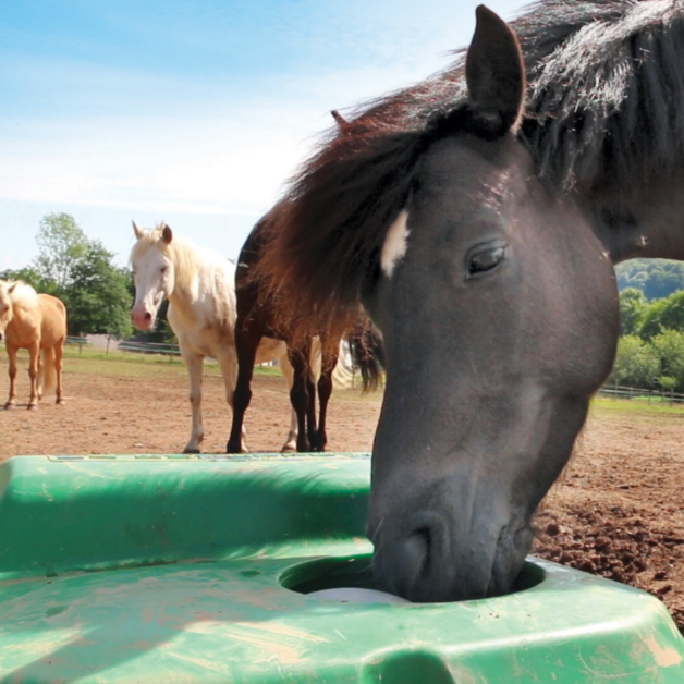 Isothermal Thermolac Water Trough Isothermal Thermolac Water Trough