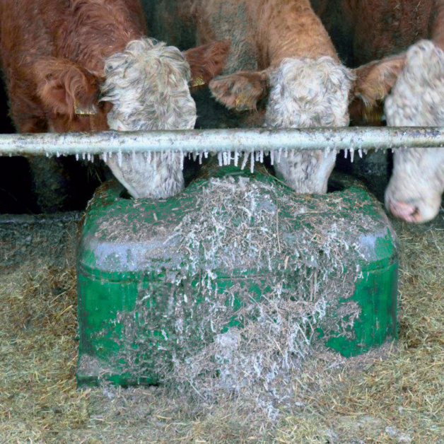 Isothermal Thermolac Water Trough Isothermal Thermolac Water Trough