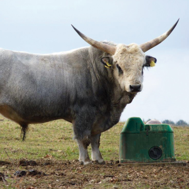 Isothermal Thermolac Water Trough Isothermal Thermolac Water Trough