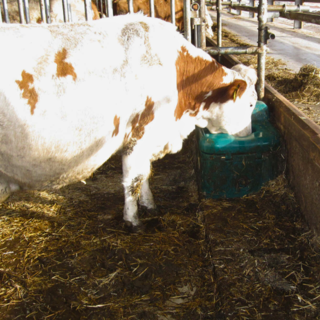 Abreuvoir Thermo-Source