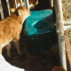 Thermo-Source Watering Trough