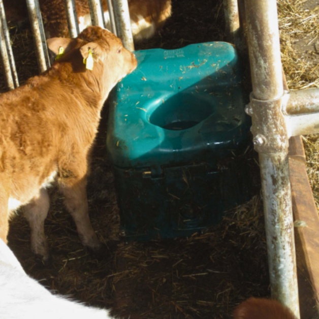 Abreuvoir Thermo-Source