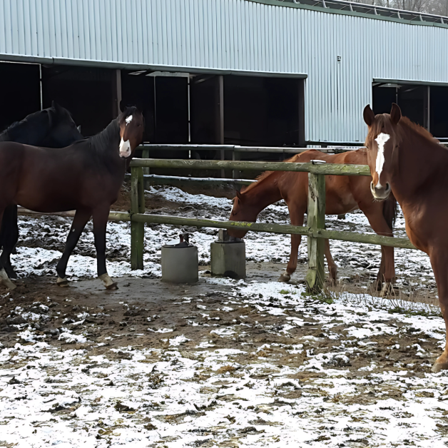 Abreuvoir chauffant pour buse Abreuvoir chauffant pour buse