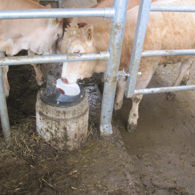 Abreuvoir chauffant pour buse Abreuvoir chauffant pour buse