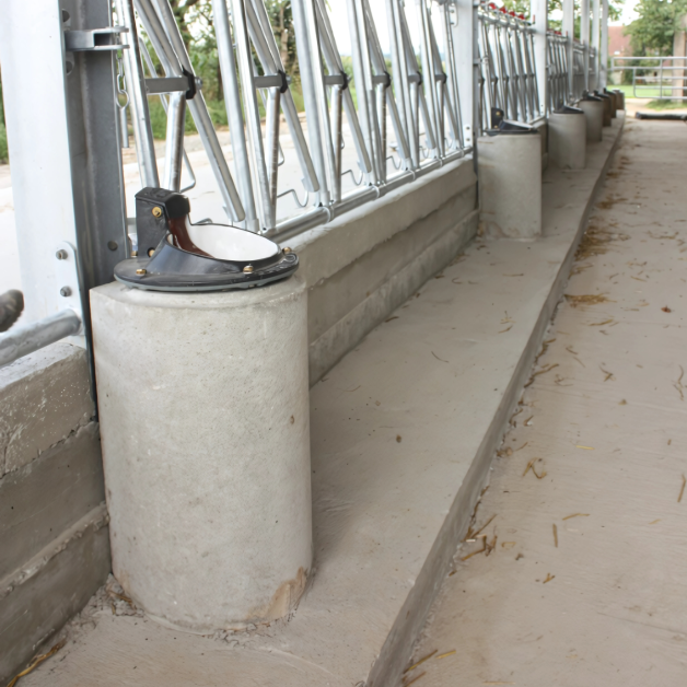 Abreuvoir chauffant pour buse Abreuvoir chauffant pour buse