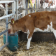 Heated waterer for nozzle