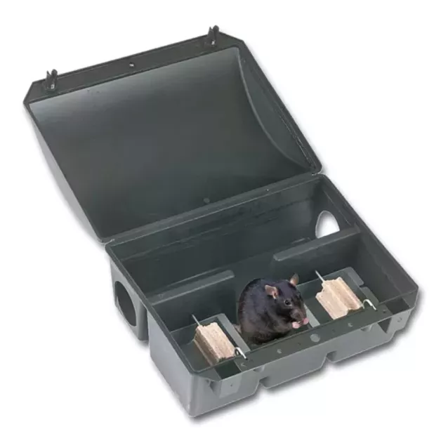 Rodi Kill van BSI pasta-aas tegen ratten en muizen - 900 gram. Rodi Kill van BSI pasta-aas tegen ratten en muizen - 900 gram.