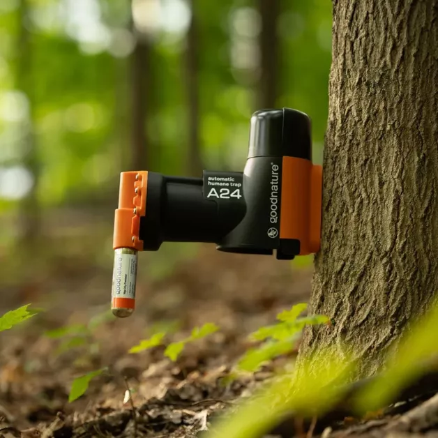 Goodnature, un piège contre les nuisible soucieux de l’environnement