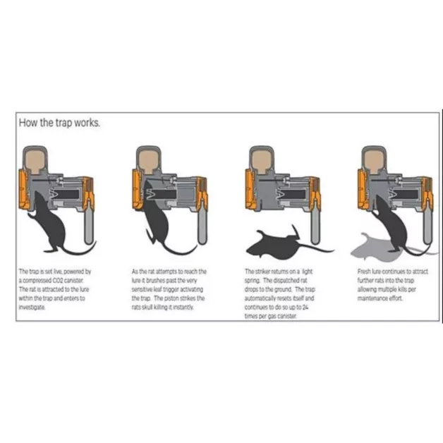 Goodnature, un piège contre les nuisible soucieux de l’environnement