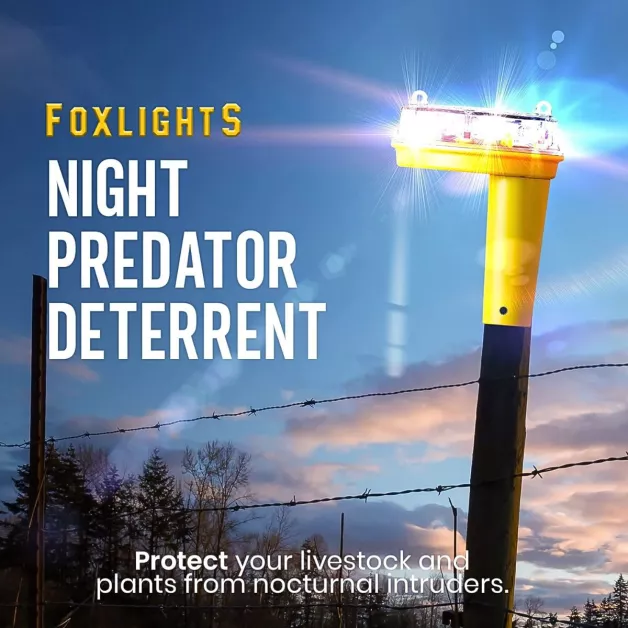Anti prédateur Foxlights Gallagher 