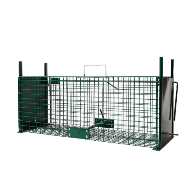 Boîte met roofdieren Boîte met roofdieren