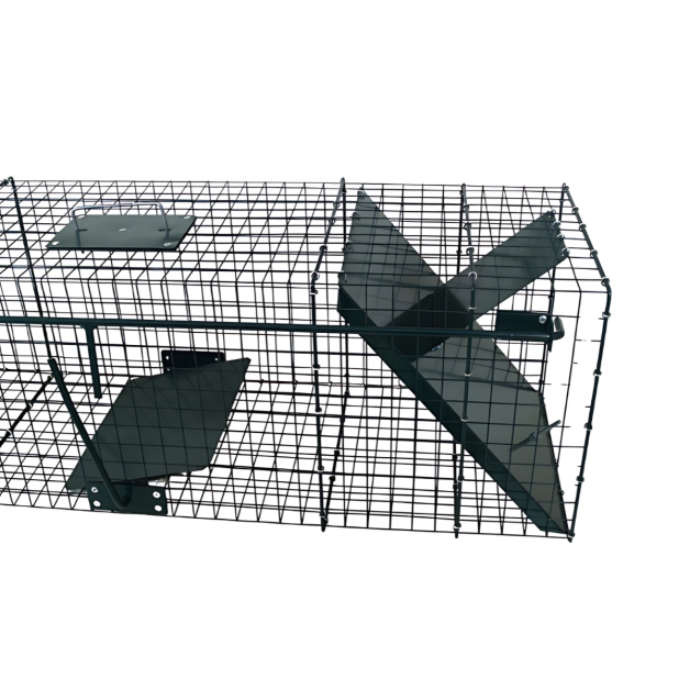 Boîte met roofdieren Boîte met roofdieren