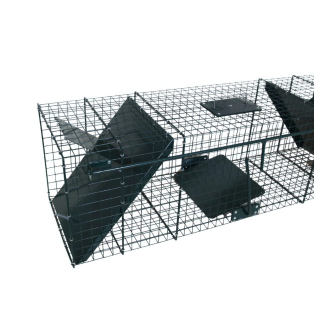 Boîte met roofdieren Boîte met roofdieren