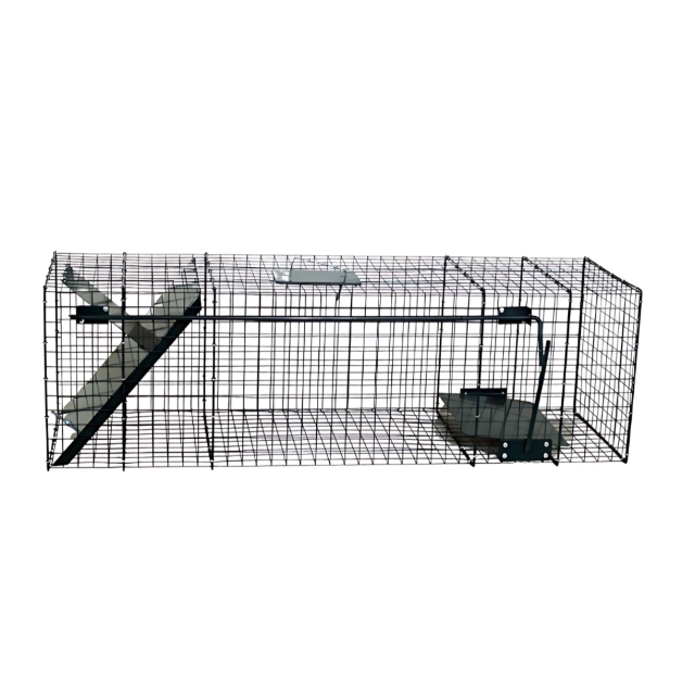 Boîte met roofdieren Boîte met roofdieren