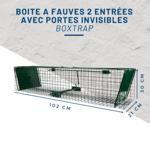 Boîte met roofdieren Boîte met roofdieren