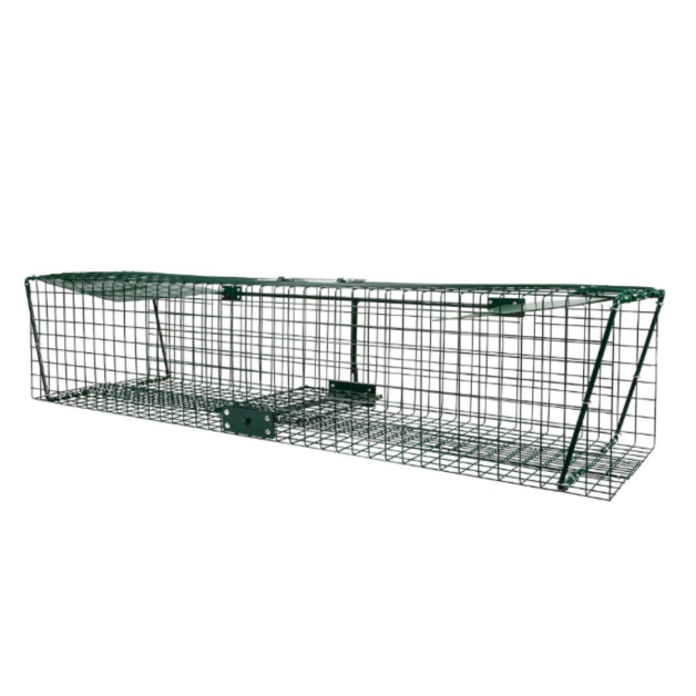 Boîte met roofdieren Boîte met roofdieren