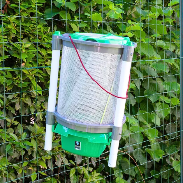 Vliegenvanger Monster Fly Vliegenvanger Monster Fly