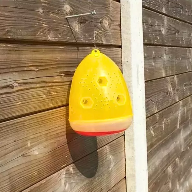 Wasp Trap Vespa Trap